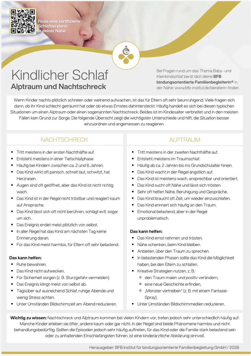 Alptraum Nachtschreck
